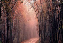 开云体育app-西悉尼流浪者替补席深度成优势，冲击世俱杯冠军