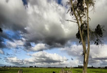 开云体育登录-西雅图海湾者球迷现场助威，激发球队夺冠斗志