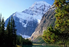 开云体育app-西悉尼流浪者替补席深度成优势，冲击世俱杯冠军