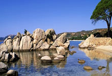 开云体育APP下载-西雅图海湾者球队目标明确，誓夺世俱杯最高荣誉