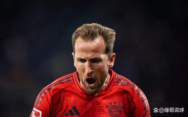 开云体育下载-关于拜仁慕尼黑欧冠四强美梦启程的信息