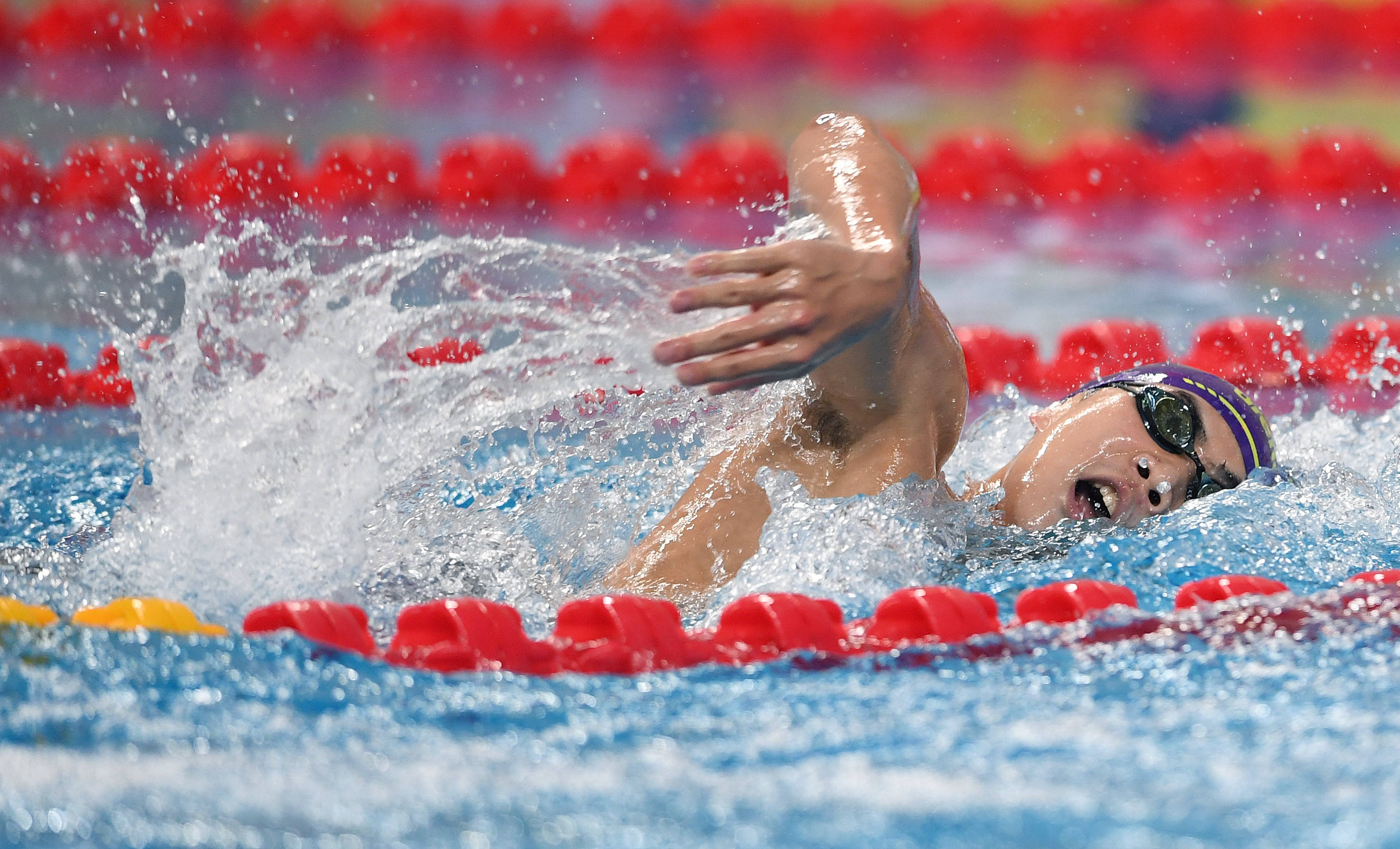 关于游泳选手在自由泳项目中出类拔萃的信息 关于游泳选手在自由泳项目中出类拔萃的信息