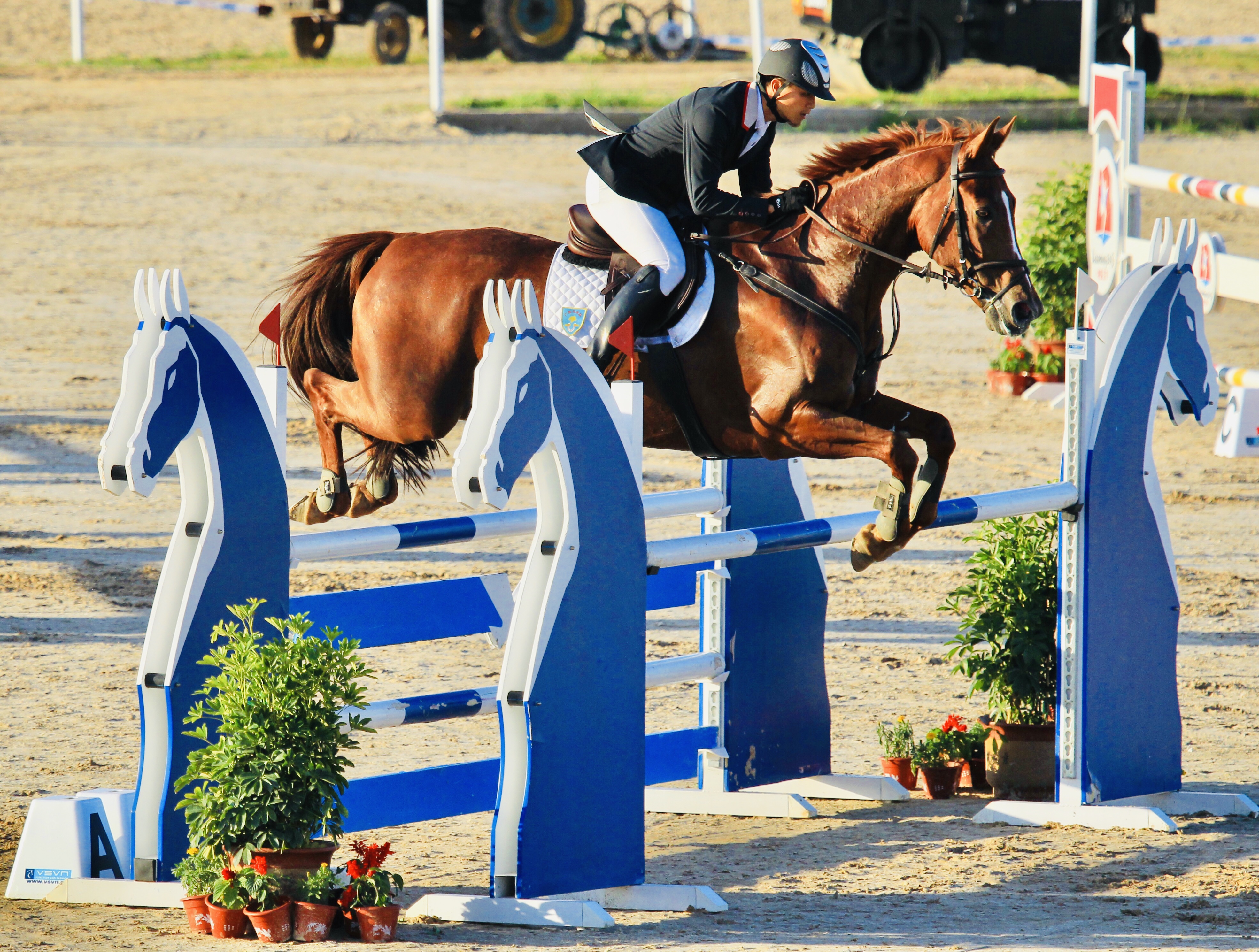 沙特阿拉伯运动员在马术比赛中获奖 沙特阿拉伯运动员在马术比赛中获奖