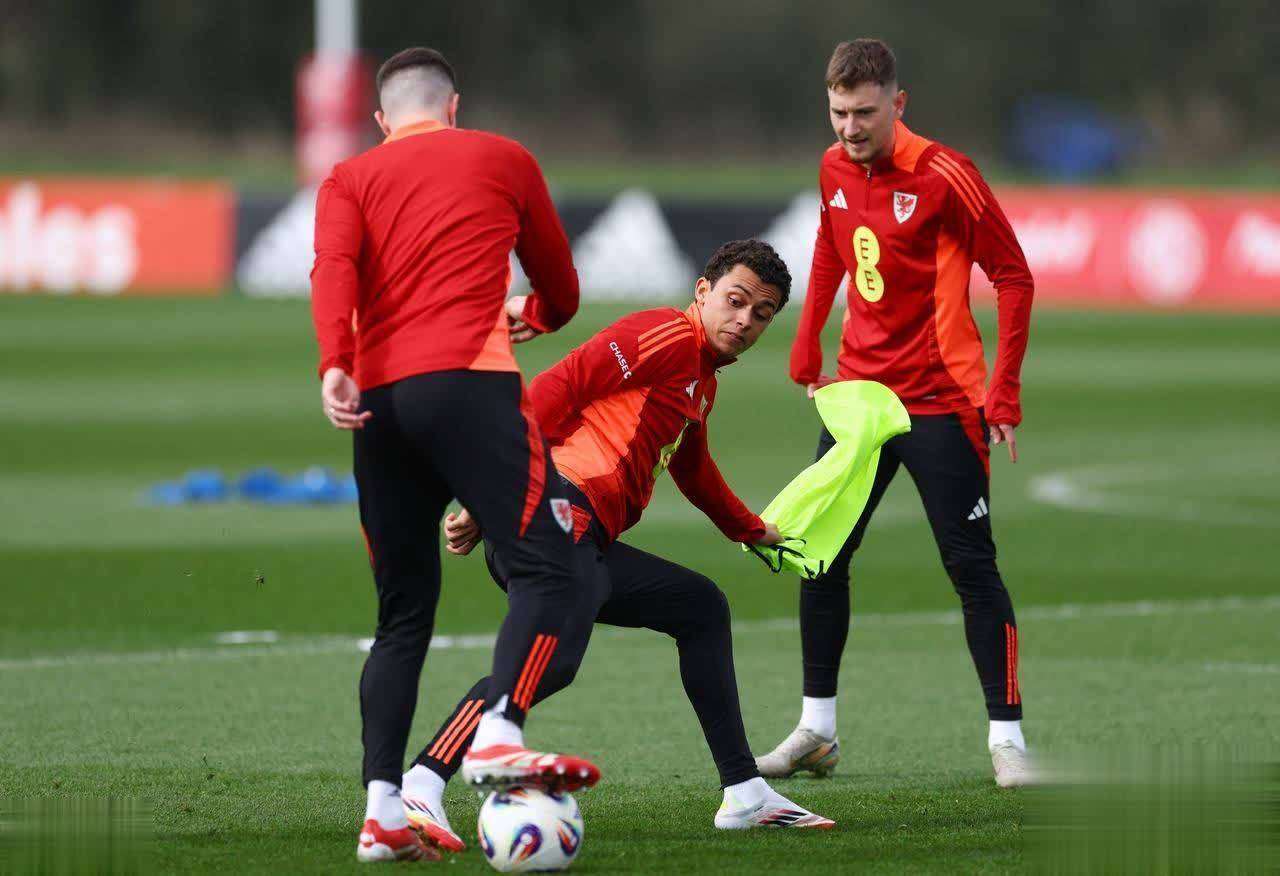 比利时客场大胜威尔士,提前晋级欧预赛 比利时客场大胜威尔士,提前晋级欧预赛