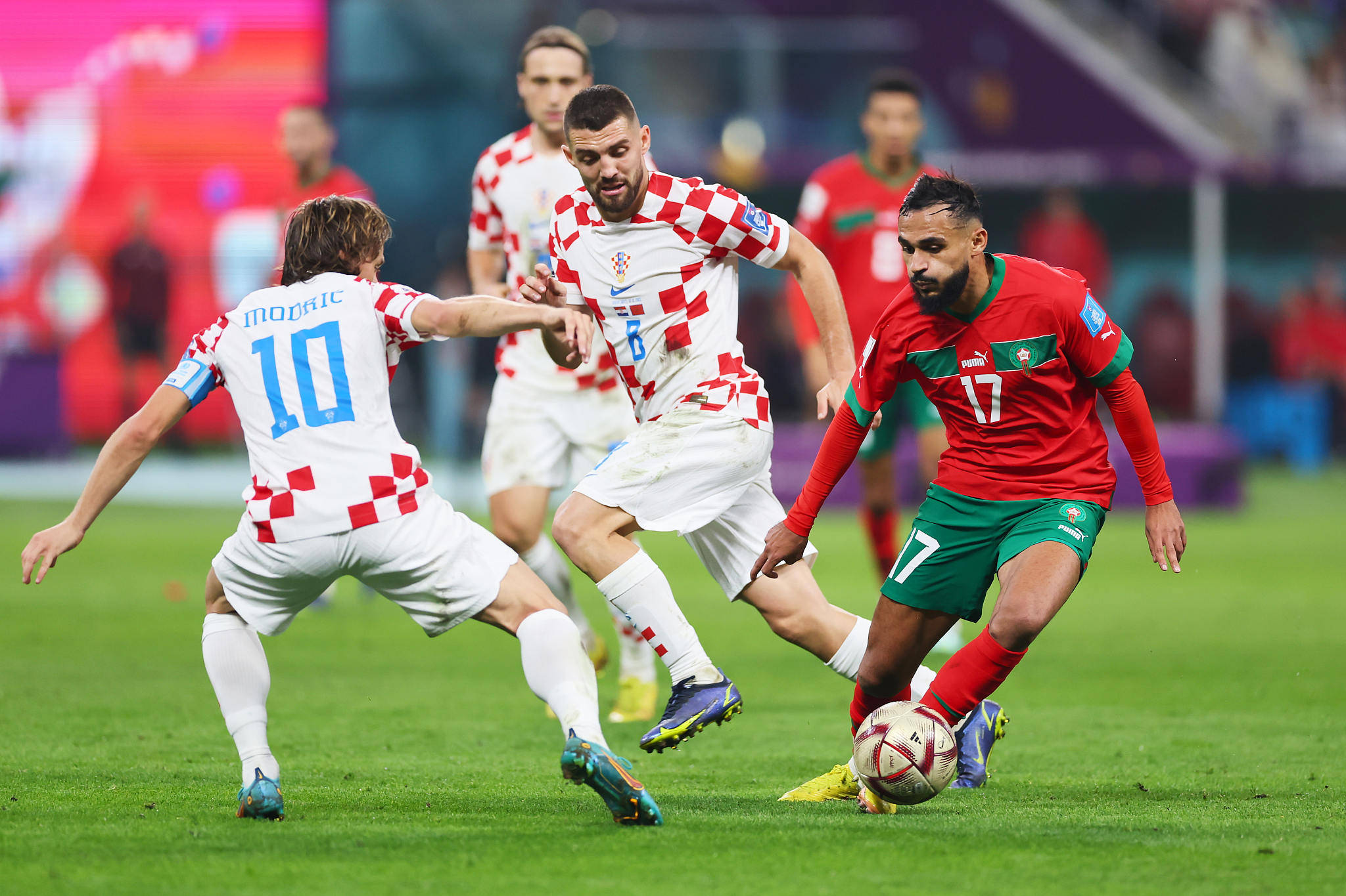 捷克力克葡萄牙,半决赛形势一片大好的简单介绍 捷克力克葡萄牙,半决赛形势一片大好的简单介绍