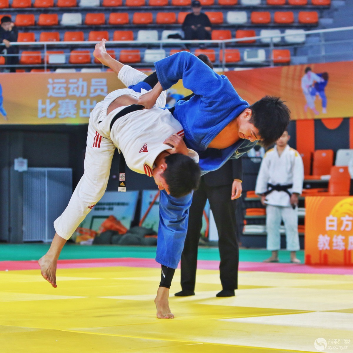 柔道比赛搏斗如火如荼,冠军再次诞生 柔道比赛搏斗如火如荼,冠军再次诞生