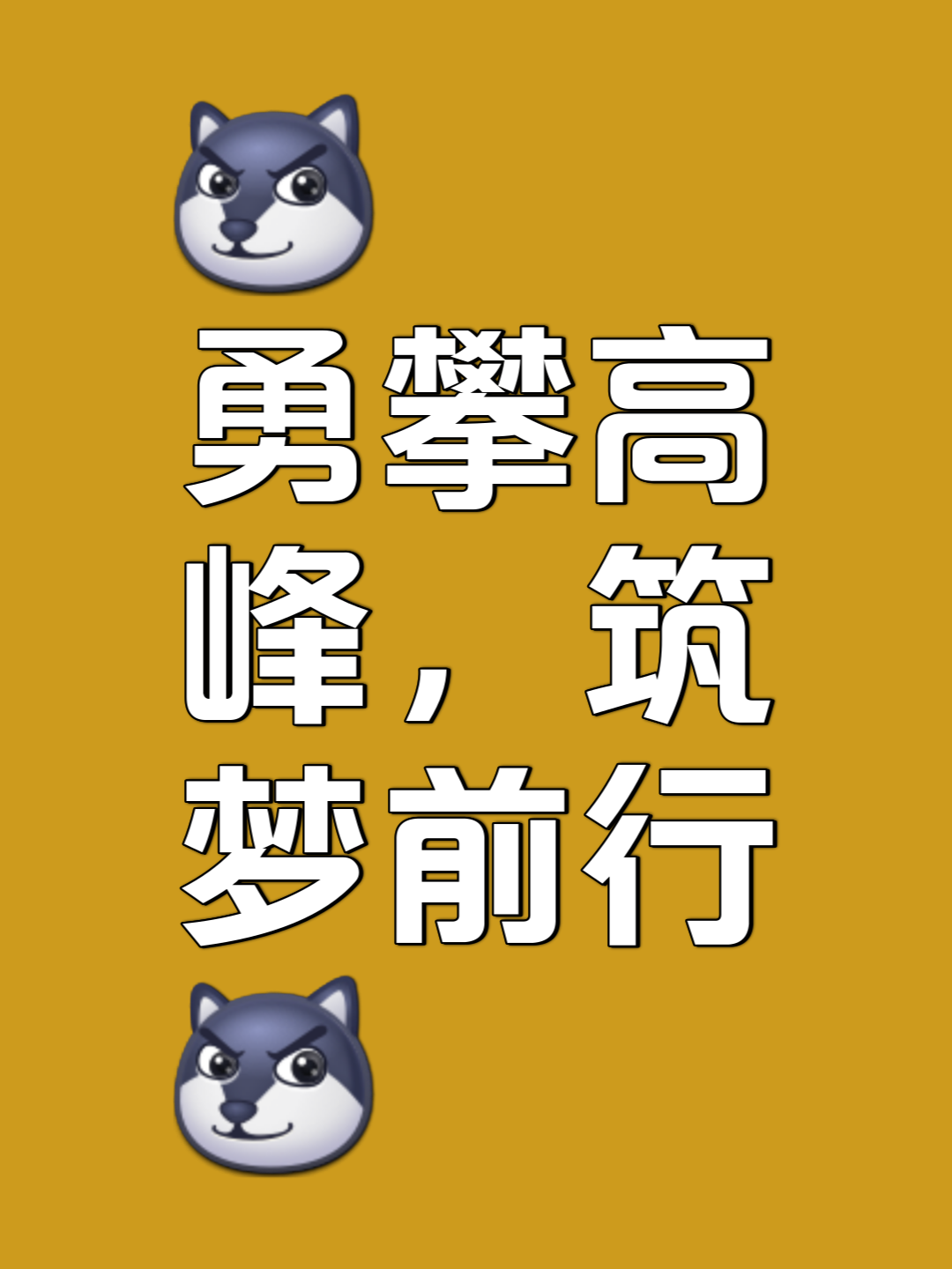 开云体育app-经过激烈角逐，最终傲视群雄