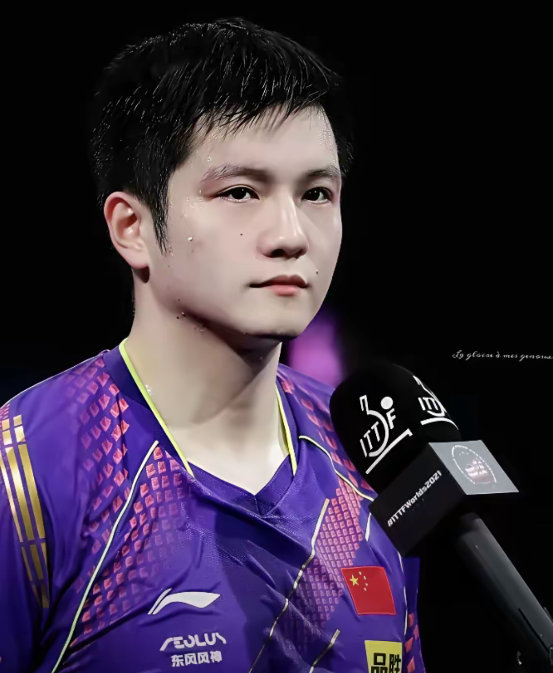 奥地利队绝杀瑞典队，樊振东关键制胜的简单介绍