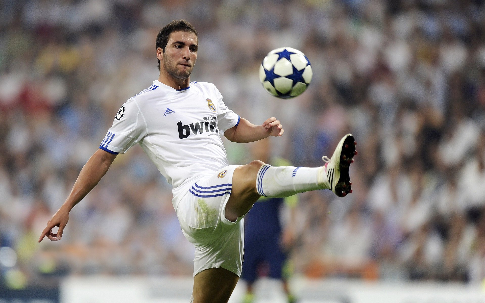 独行者与暴风雪,当安赛龙扛起孤独,印度队点燃集体的火焰