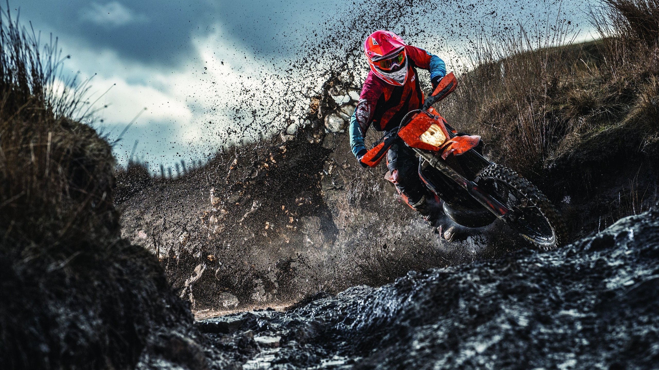 蓝色烽烟,索伯与雷诺的缠斗,阿隆索掀起致胜风暴