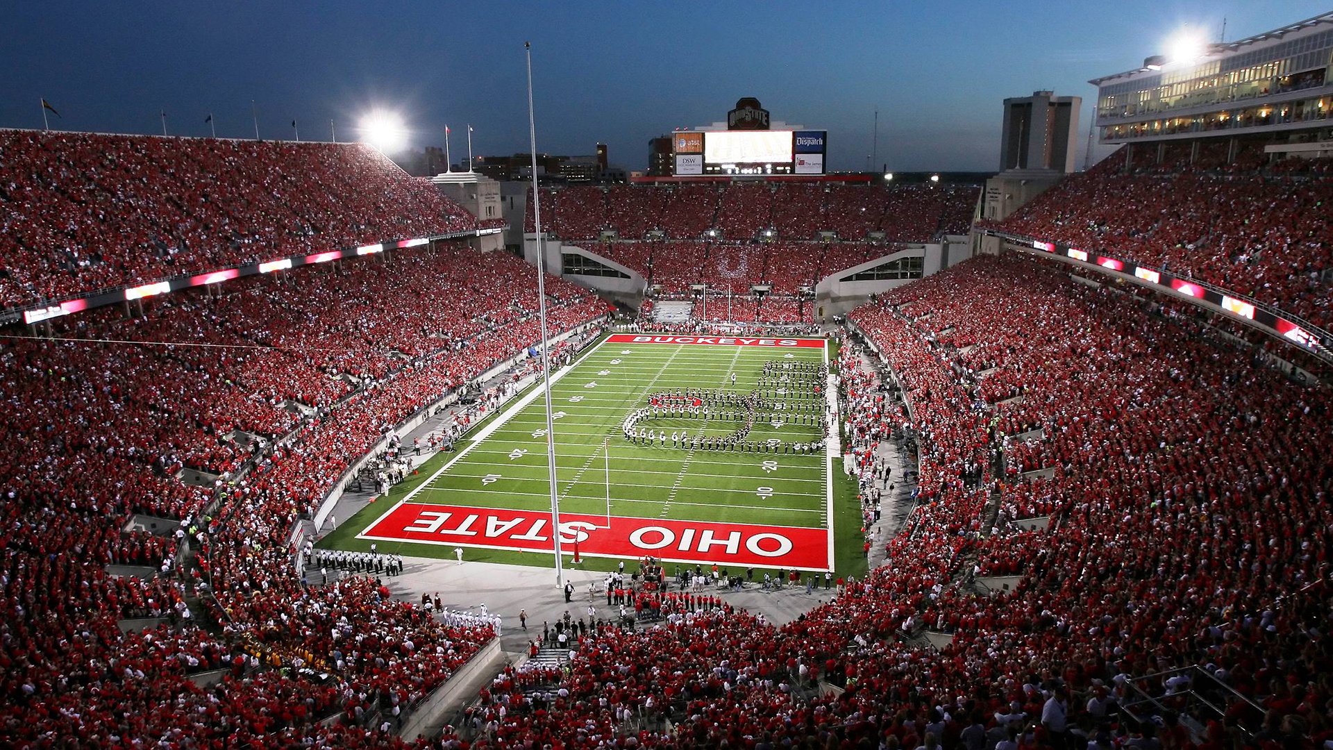 东方功夫熊猫横扫西方灰熊,克莱佛光笼罩全场